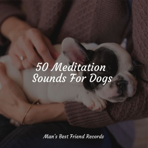 Relaxation Music For Dogs - 50 Meditation Sounds For Dogs - 2022