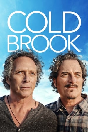 Cold Brook 2018 720p WEB DL XviD AC3 FGT