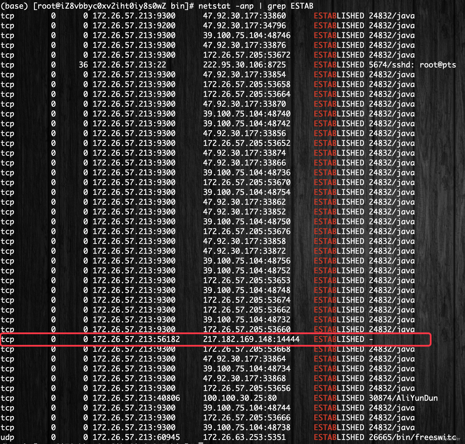 netstat结果