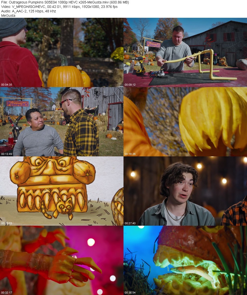 Outrageous Pumpkins S05E04 1080p HEVC x265-MeGusta