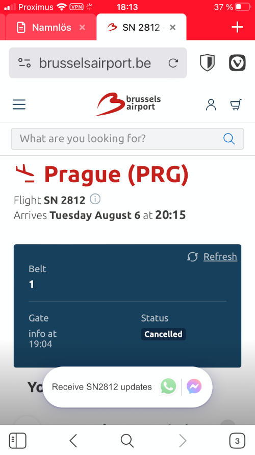 flight status