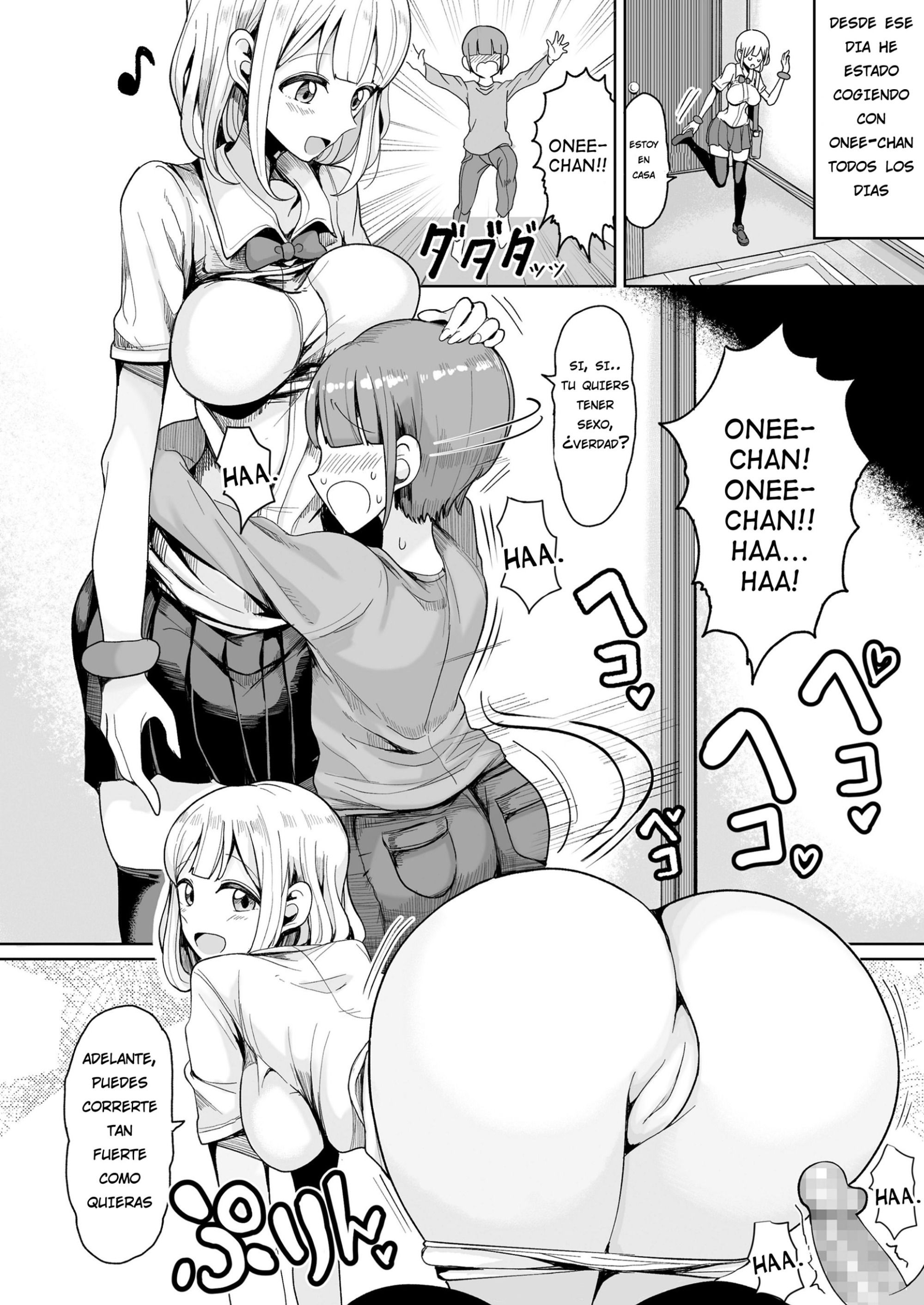 Boku no Onee_chan ni wa Teisou Gainen ga Nai - 3