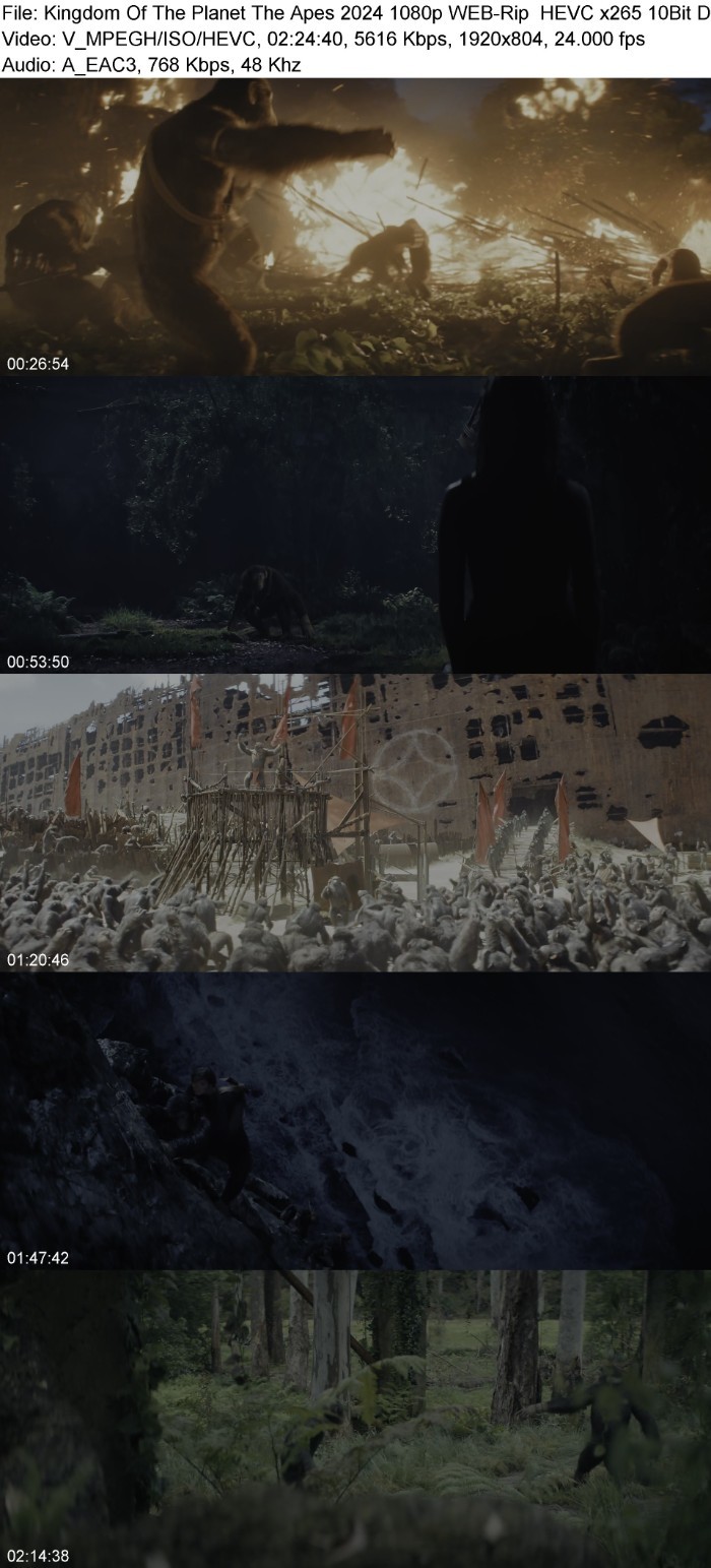 Kingdom Of The Planet The Apes 2024 1080p WEB-Rip  HEVC x265 10Bit DDP5 1 Subs KINGDOM N5oLBTN7_o