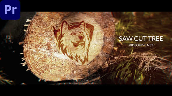 Saw Cut Tree - VideoHive 42180821