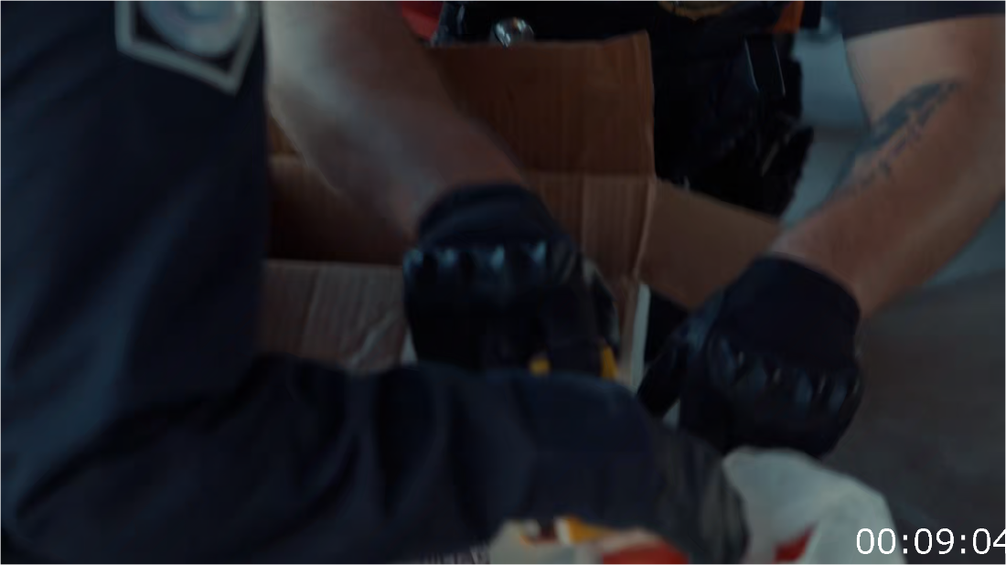 Contraband Seized At The Border S04E12 [1080p] (x265) 0xmLEm7s_o