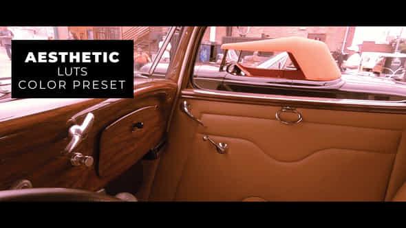 Vintage LUTs - VideoHive 43382745