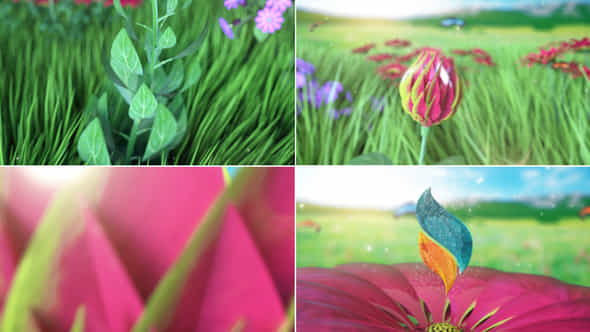 SpringNature Petals Blossom - VideoHive 44456258