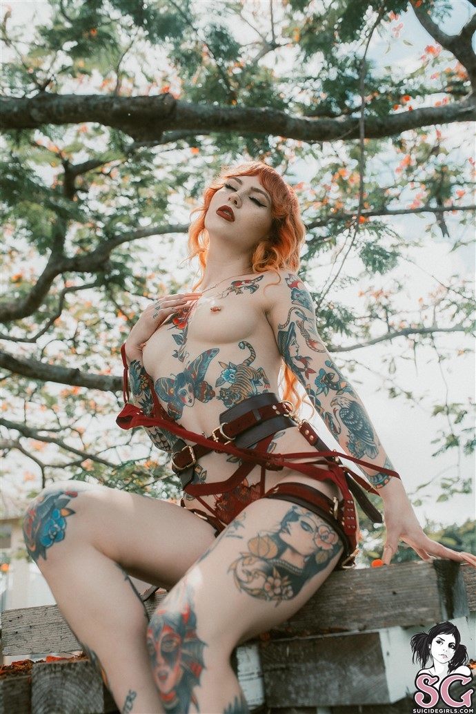 Loveless Suicide, Poinciana