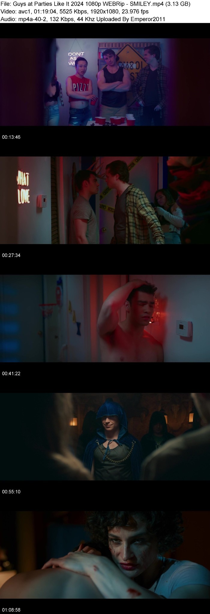 Guys at Parties Like It (2024) 1080p WEBRip-SMILEY BjnqjdqT_o