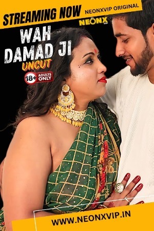 Wah Damad Ji 2024 Hindi NeonX Short Films 720p HDRip Download