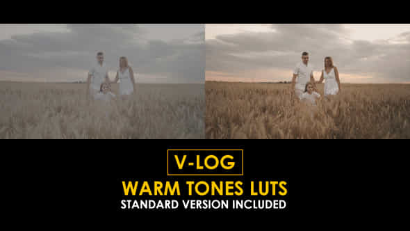 Vlog Warm Tones And Standard Color Luts - VideoHive 51443827