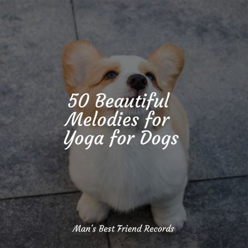 Music For Dogs Peace - 50 Beautiful Melodies for Yoga for Dogs - 2022