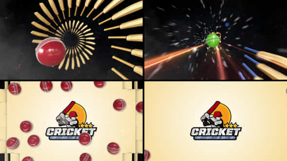Cricket Logo Reveal - VideoHive 48450688