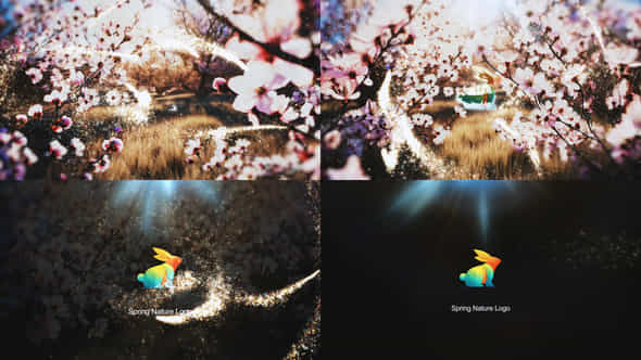 Spring Logo - VideoHive 57173724