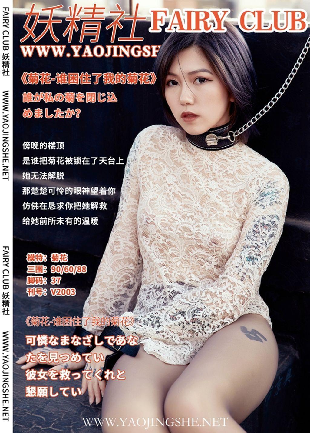 [YJS] 妖精 社 Vol.008: 菊花 (40 pictures)
