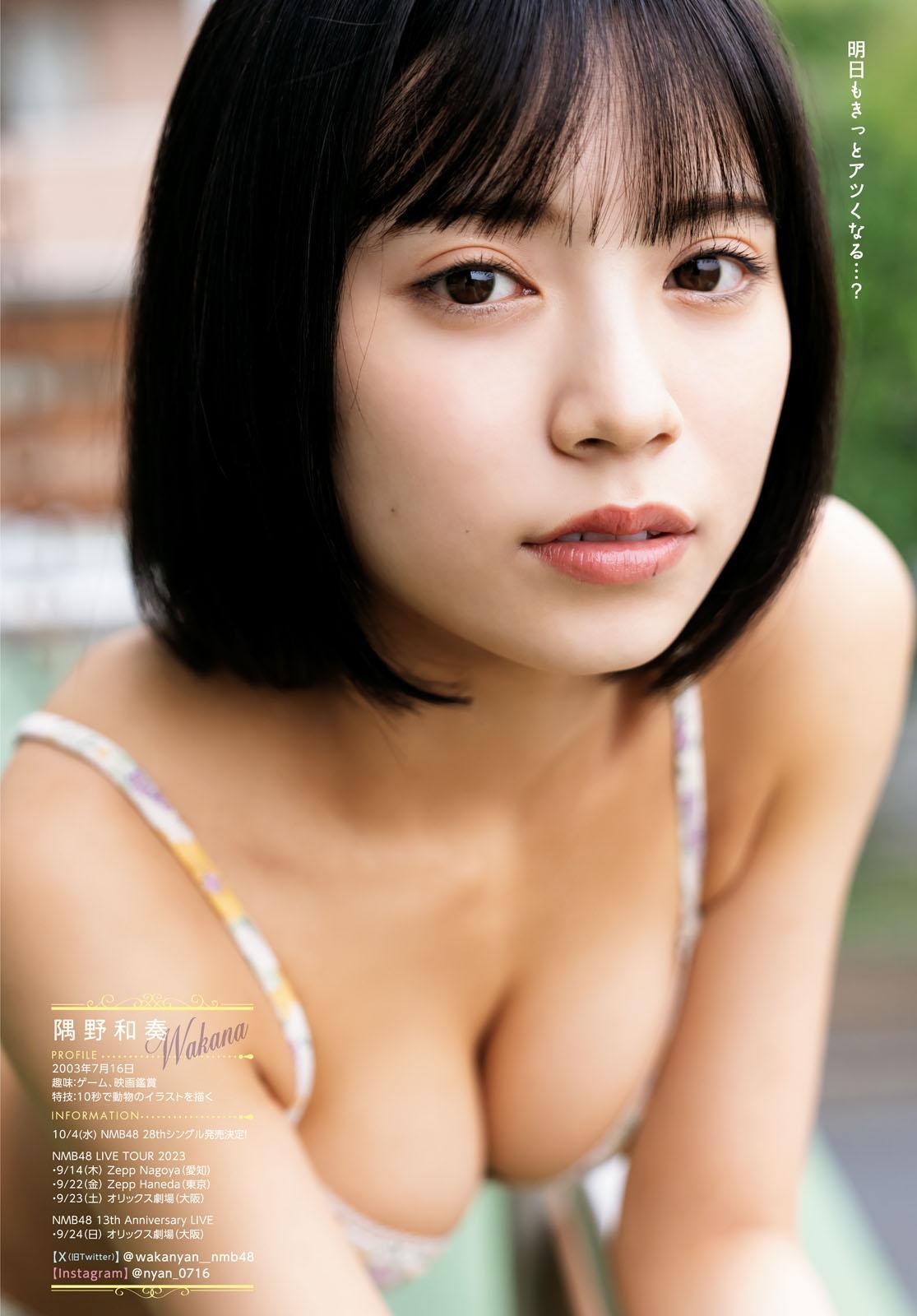 Wakana Sumino 隅野和奏, Young Dragon Age ヤングドラゴンエイジ 2023.09 Vol.18(16)