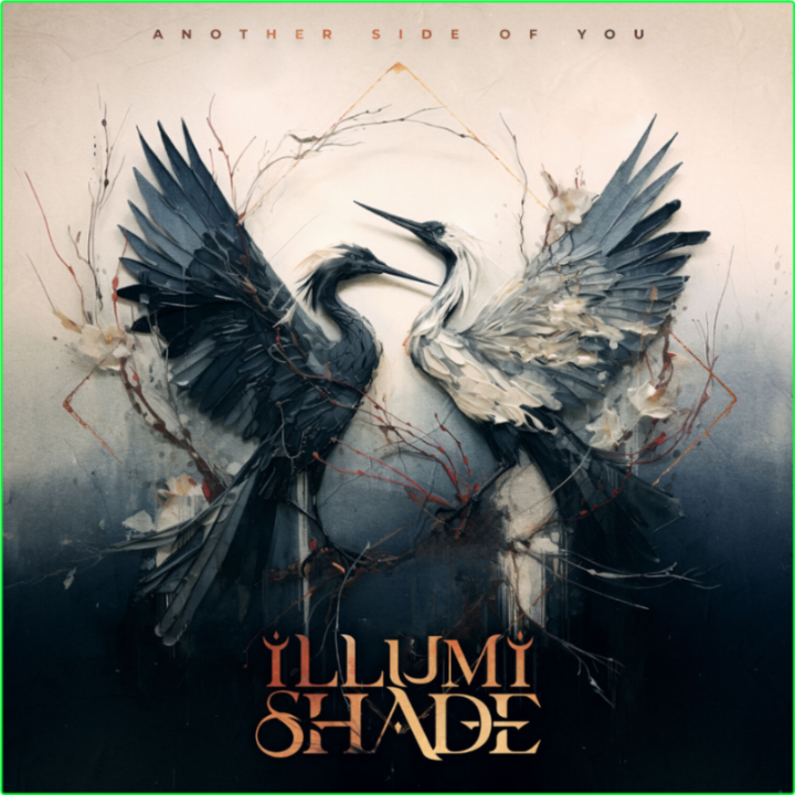 ILLUMISHADE Another Side Of You (2024) 24Bit 96kHz [FLAC] AcYSLDRQ_o