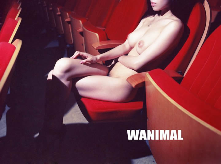 Wang Dong Wanimal produced no holy light human body set 1 1 16