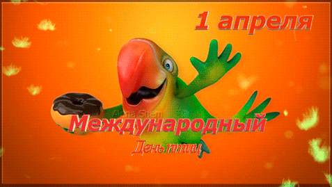 Смешная гифка с попугаем на день птиц. Смешная гифка с попугаем на день птиц.