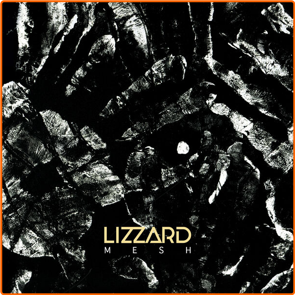 Lizzard Mesh (2024) 24Bit 48kHz [FLAC] REEgUWtw_o