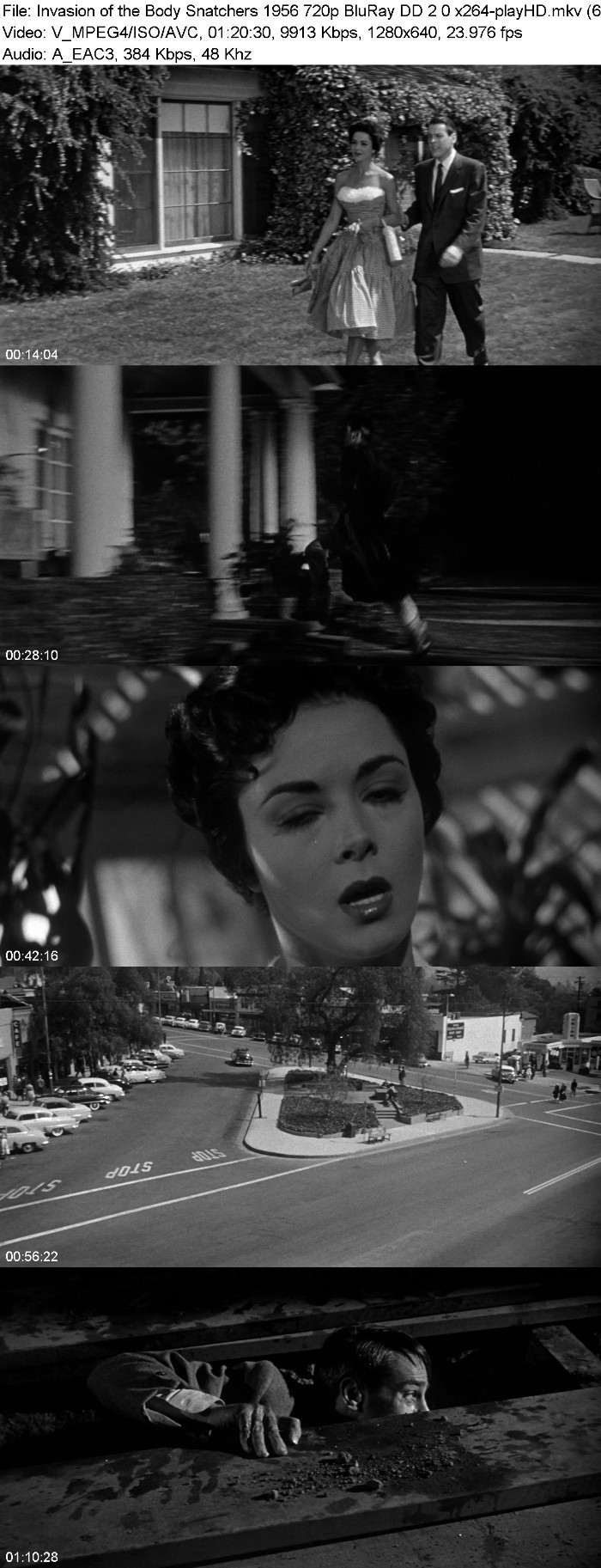 Invasion of the Body Snatchers 1956 720p BluRay DD 2 0 x264-playHD BuqLDYtj_o