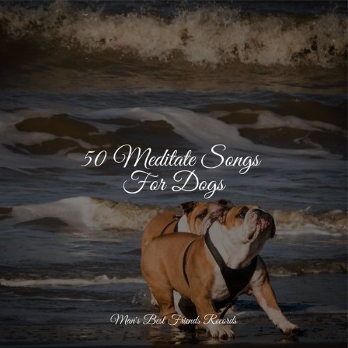 Music For Dogs - 50 Meditate Songs For Dogs - 2022