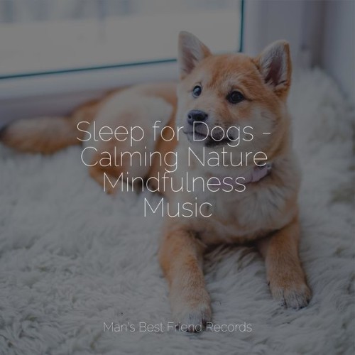 Music for Dog's Ears - Sleep for Dogs - Calming Nature Mindfulness Music - 2022