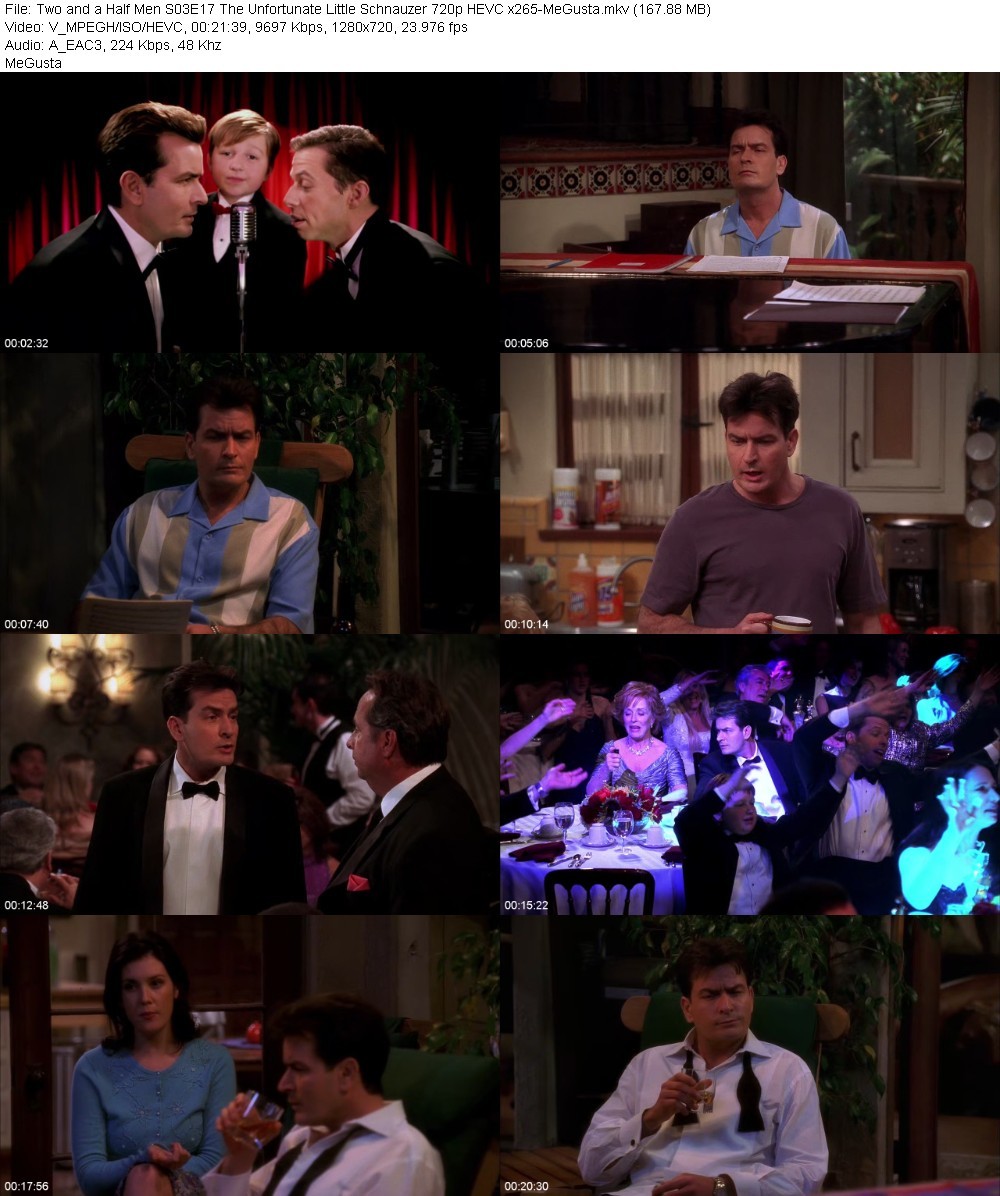 Two and a Half Men S03E17 The Unfortunate Little Schnauzer 720p HEVC x265-MeGusta