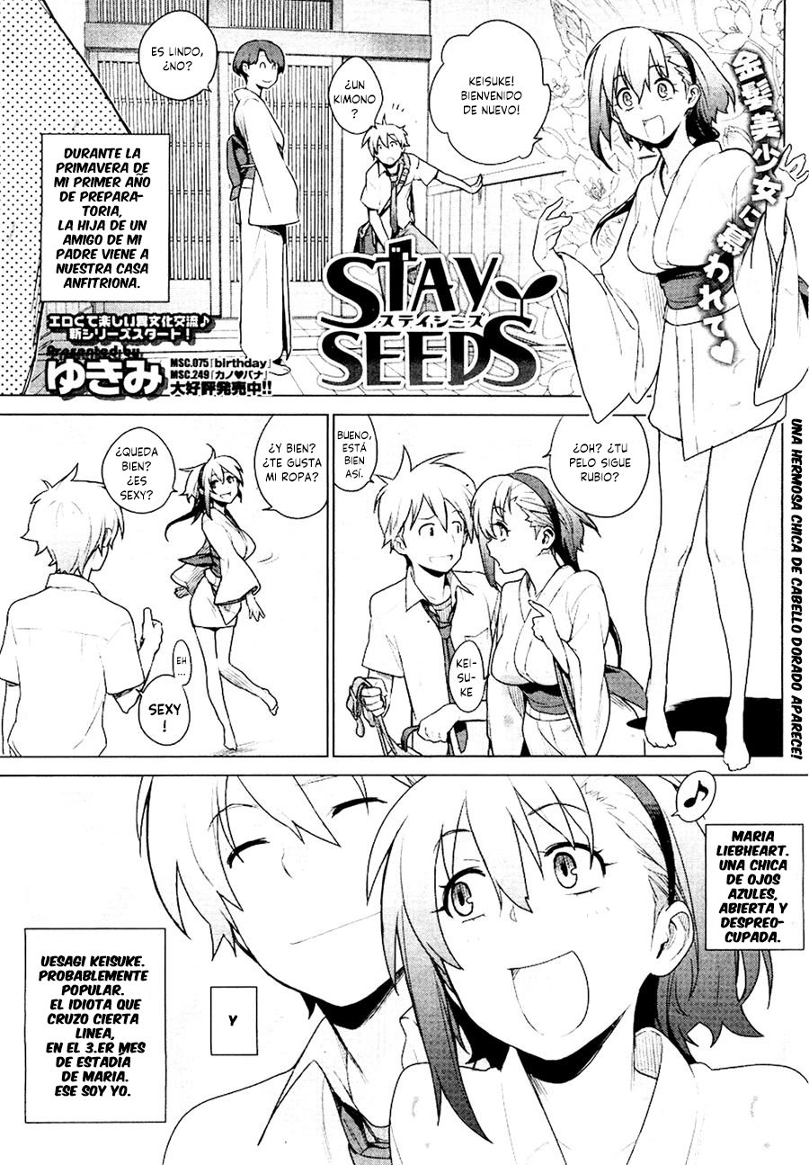 stay seeds 1 - 3