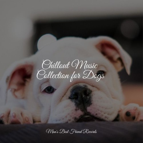 Music for Dog's Ears - Chillout Music Collection for Dogs - 2022