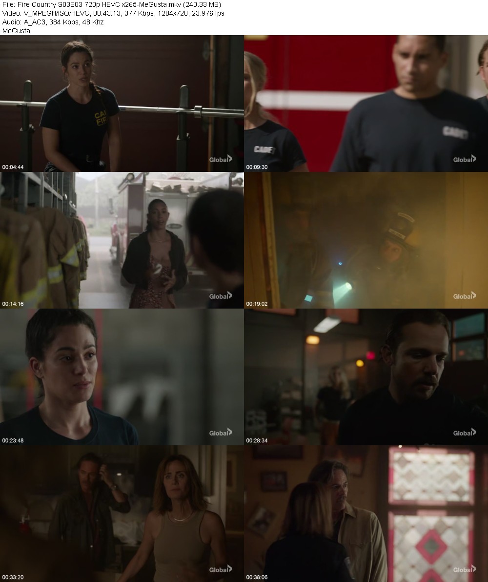 Fire Country S03E03 720p HEVC x265-MeGusta