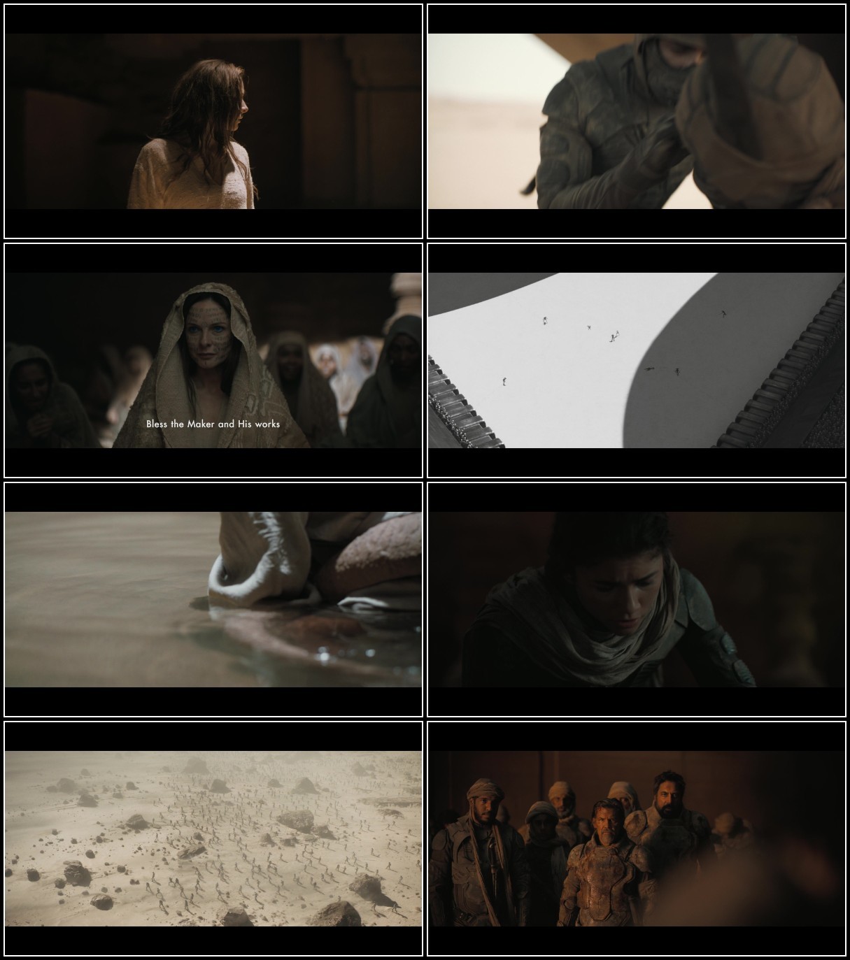 Dune Part Two (2024) 1080p BluRay H264-RiSEHD M1bsWlAn_o