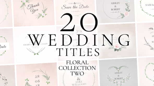 Wedding Titles - VideoHive 39176020