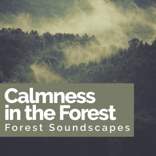 Forest Soundscapes - Calmness in the Forest - 2019