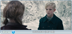   / The Book Thief (2013) BDRip-AVC  HELLYWOOD |  | 2.19 GB