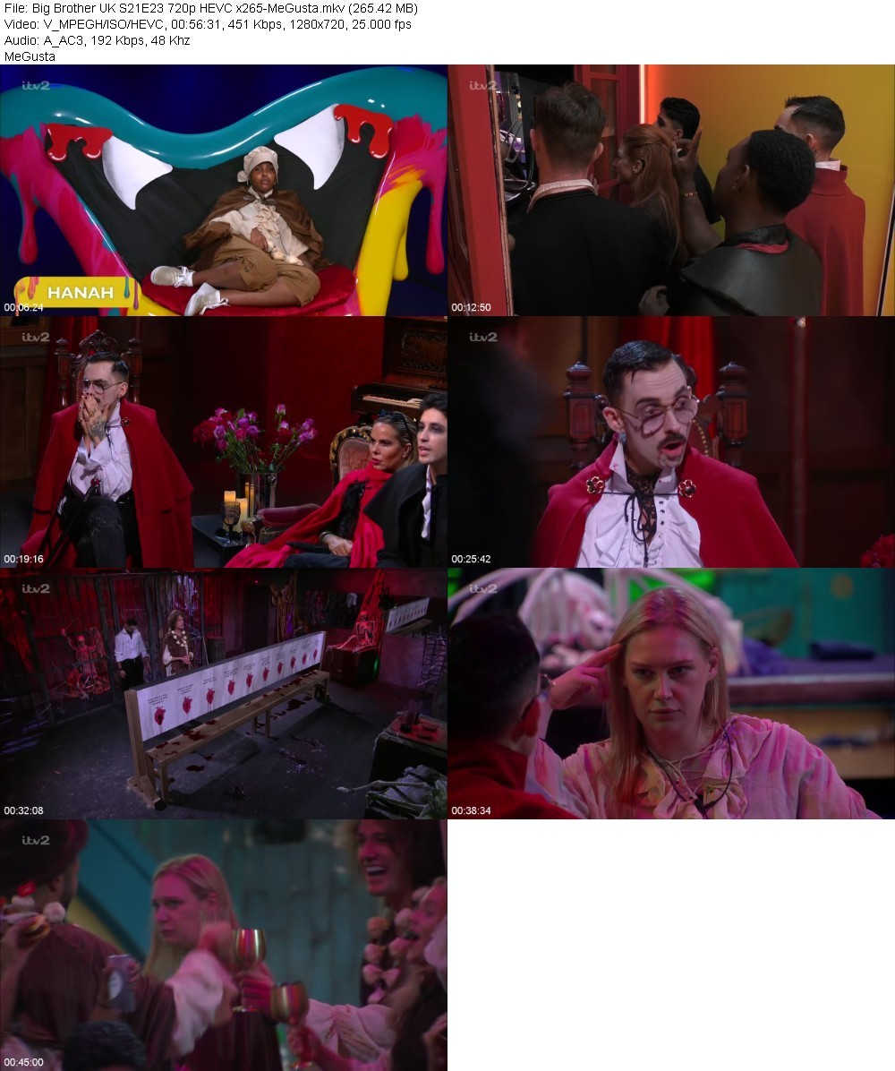 Big Brother UK S21E23 720p HEVC x265-MeGusta