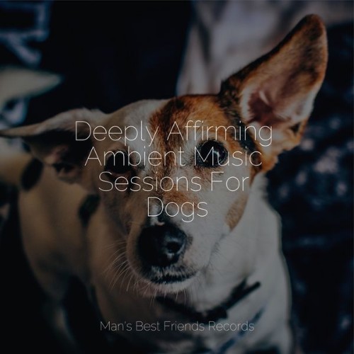 Sleepy Dogs - Deeply Affirming Ambient Music Sessions For Dogs - 2022