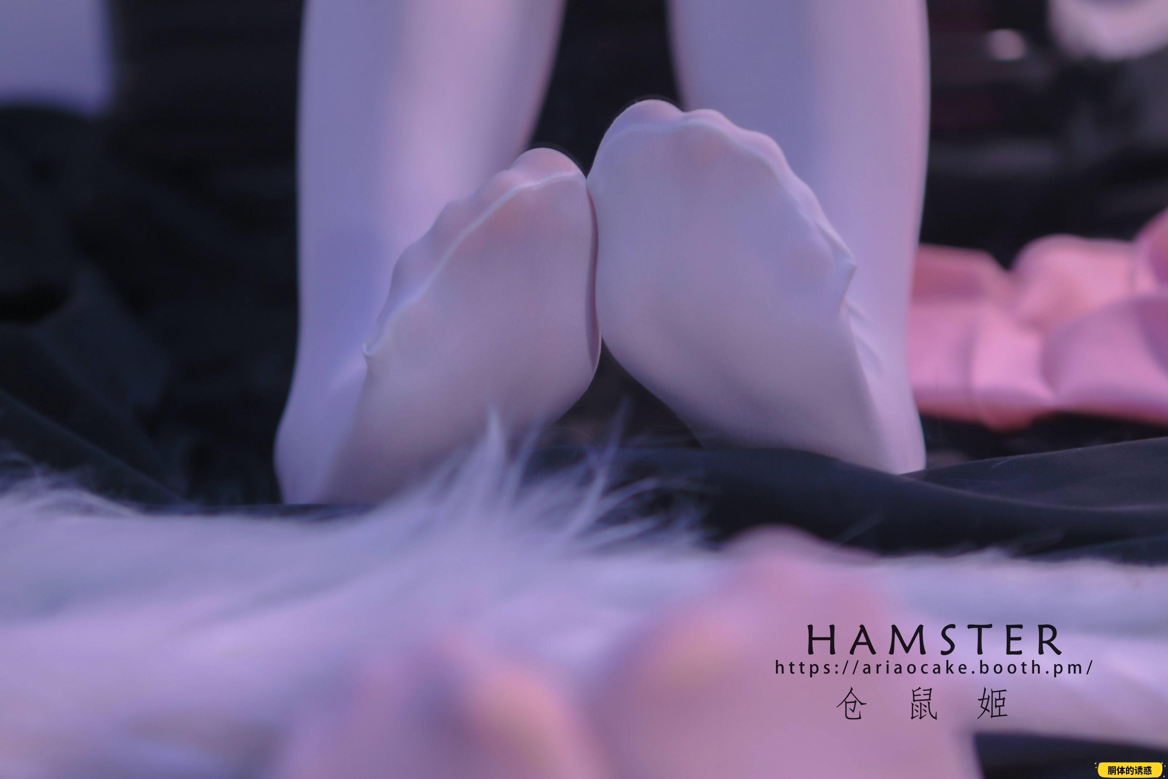 HAMSTERS 仓鼠姬 - NO.005 VOL.02 居家女友2 [34P-38MB]