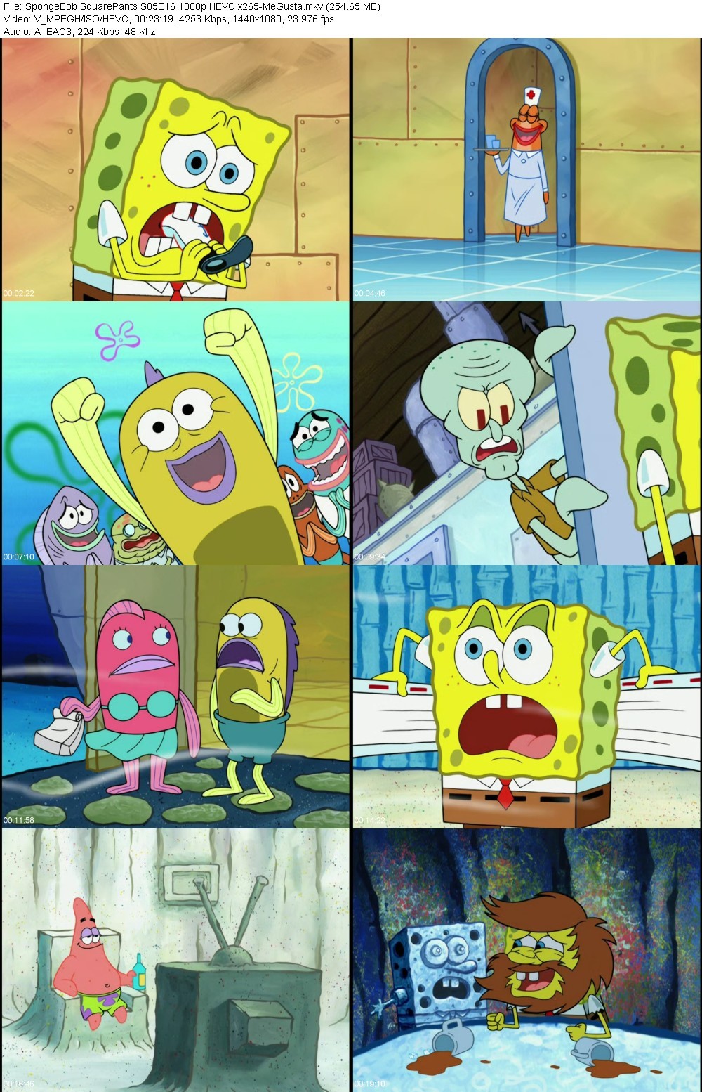 umvpD190_o.jpg