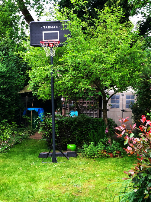 garden, basketball hoop