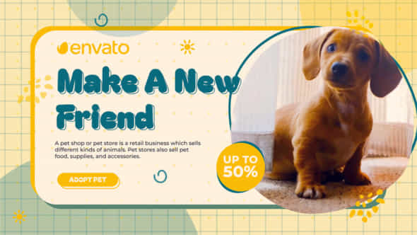 Adopt Pet Pet - VideoHive 47635022