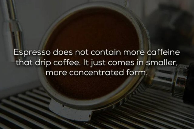COFFEE FACTS YUn5cJjG_o
