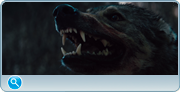 https//images2.imgbox.com/4f/f3/GHQSfZsA_o.png