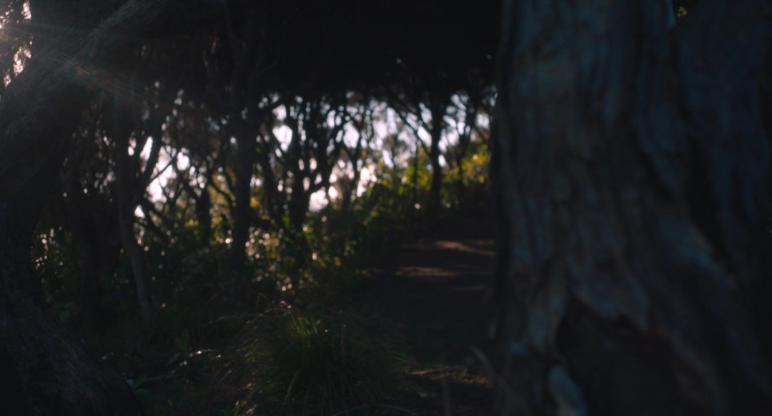 In Passing 2022 1080p AMZN WEB-DL DDP5 1 H 264-EVO In Passing 2022 1080p AMZN WEB-DL DDP5 1 H 264-EVO