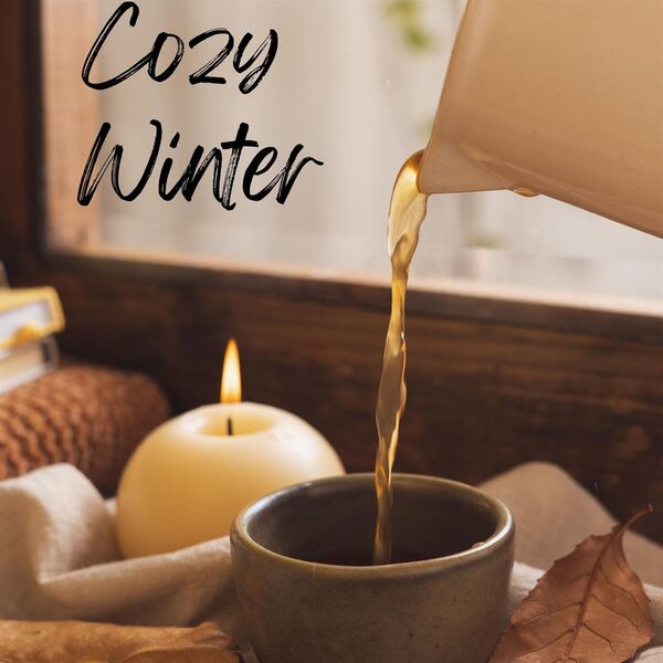 Various Artists- Cozy Winter 2024 Mp3 [320kbps] Wc6Clelh_o