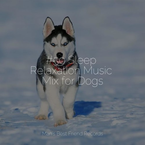 Relaxing Music for Dogs - #50 Sleep Relaxation Music Mix for Dogs - 2022