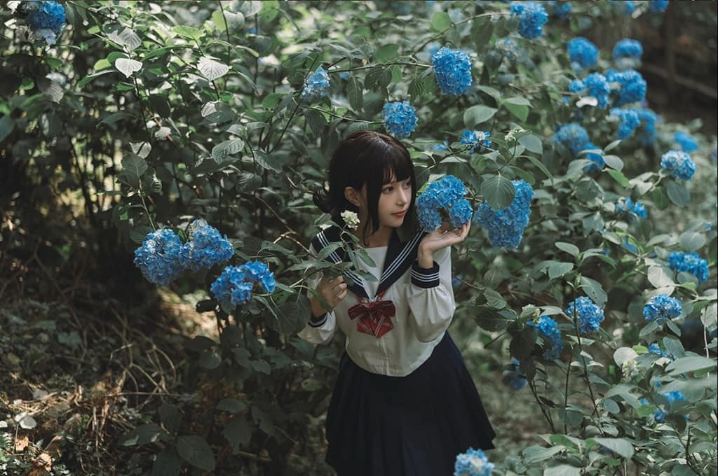 Rinko-chan - Hydrangea