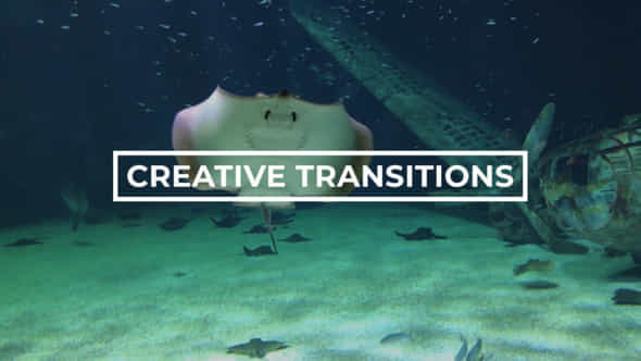 Creative Transitions - VideoHive 43220143