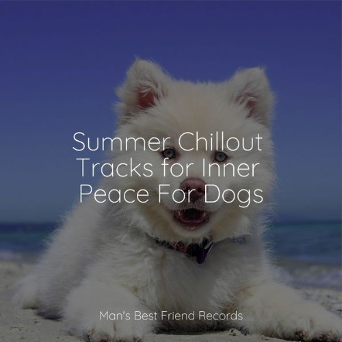 Sleeping Music For Dogs - Summer Chillout Tracks for Inner Peace For Dogs - 2022