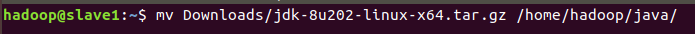image-20211111122352242